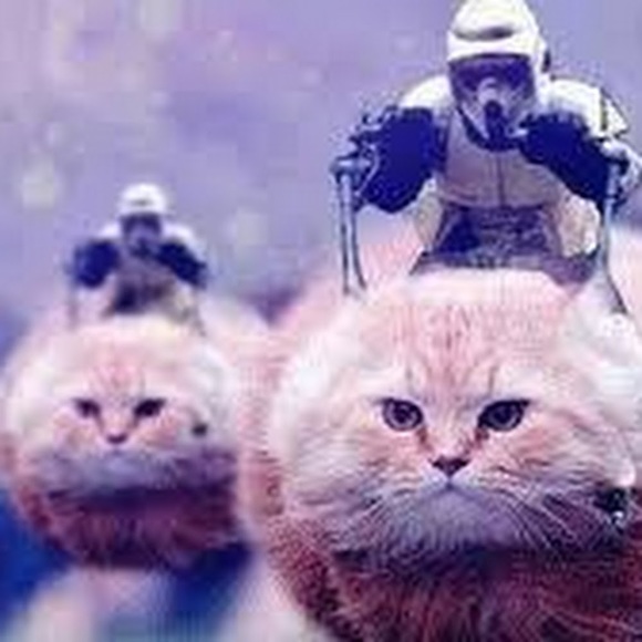 Meet your Posher, Michaela - Picture 1 of 1